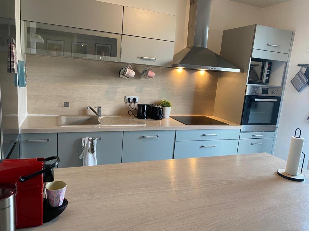 Appartement 80M2, Terrasse Sud, Metro 7 Direction Louvre A 8Minutes, Parking Sous-Sol, Proche Paris-Bercy Ivry-sur-Seine Zewnętrze zdjęcie
